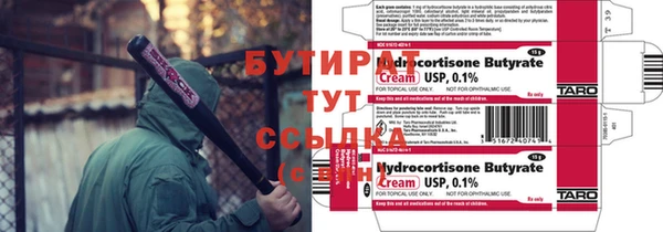 прущие грибы Осташков