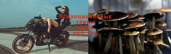 прущие грибы Остров