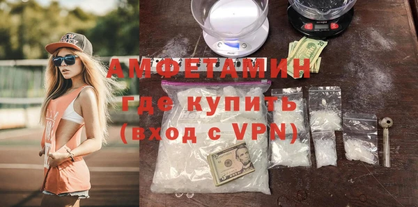 прущие грибы Осташков