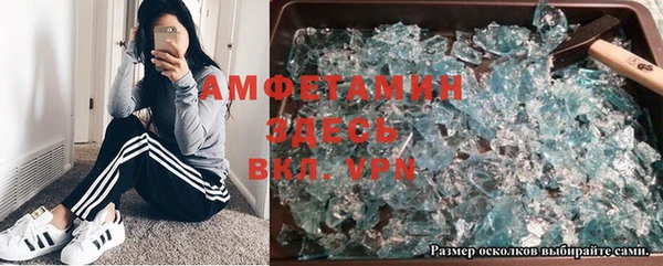 прущие грибы Осташков