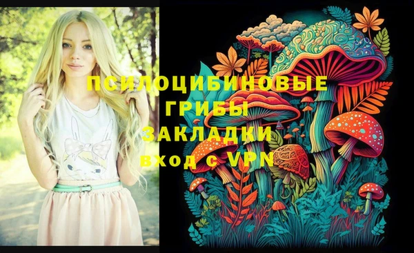 прущие грибы Корсаков