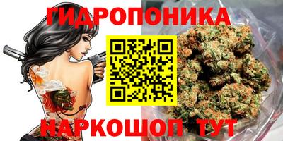 скорость Абакан