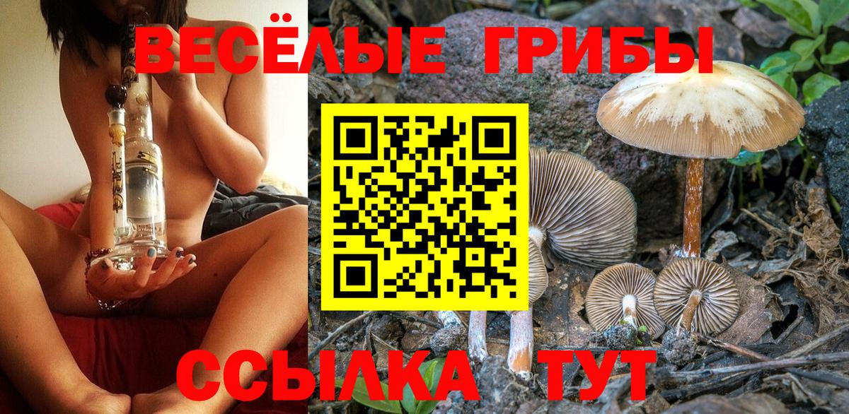 Галлюциногенные грибы ЛСД  Псилоцибиновые грибы Magic Shrooms  Алушта 