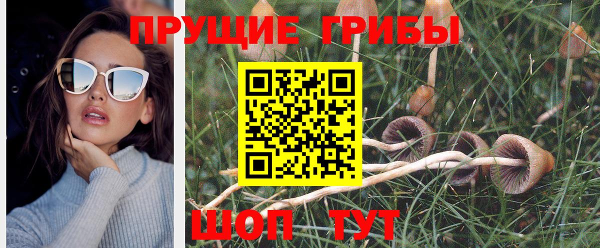 Галлюциногенные грибы MAGIC MUSHROOMS  Вход с VPN  Алушта 
