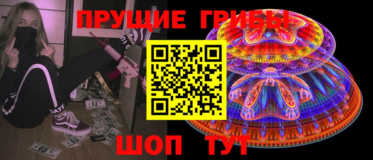 Псилоцибиновые грибы Psilocybine cubensis Алушта