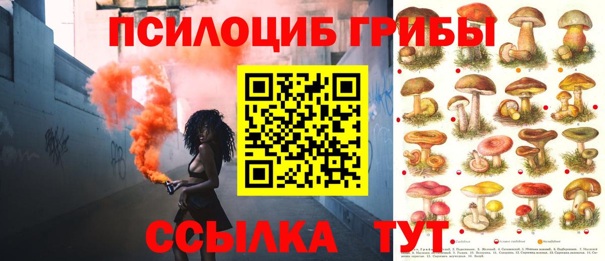 Галлюциногенные грибы Psilocybine cubensis Алушта