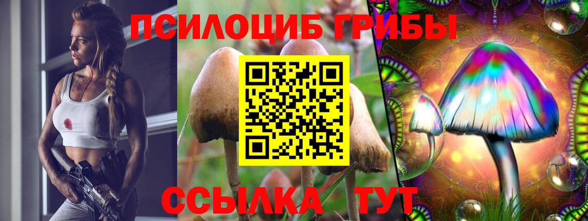Галлюциногенные грибы Cubensis  Псилоцибиновые грибы Psilocybe  Алушта  Вход с VPN 