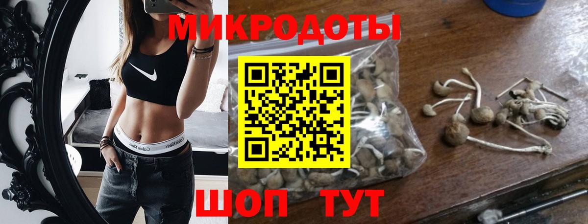 Псилоцибиновые грибы мухоморы Алушта