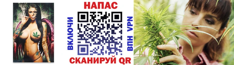 Бошки Шишки THC 21%  цена наркотик  Алушта 